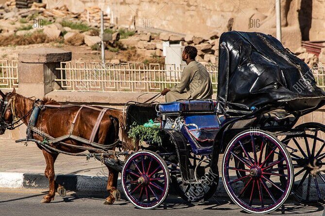 Horse Carriage City Tour in Luxor city with meal and soft drink - Why This Tour Offers Great Value