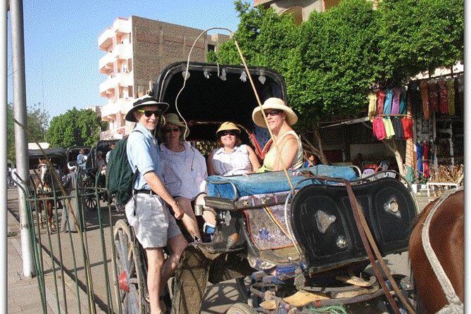 Horse Carriage Ride in Aswan - Why This Tour Stands Out
