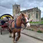 Horse drawn carriage ride and Picnic Hamper - The Ride: What to Expect