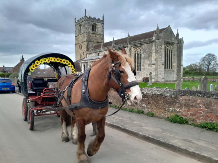Horse drawn carriage ride and Picnic Hamper - The Ride: What to Expect