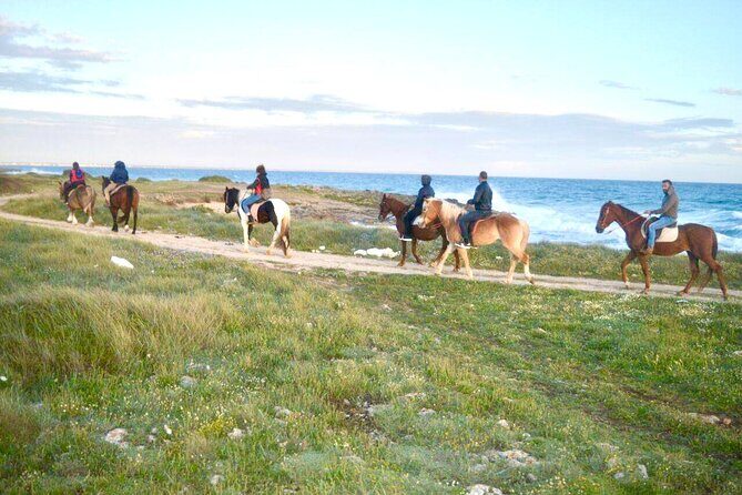 Horse ride in a Salento Nature Reserve with transfer from Lecce - Practical Details and Tips