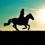 Horse Ride in Agadir & Options at Sunset & Barbecue with Couscous - The Sum Up