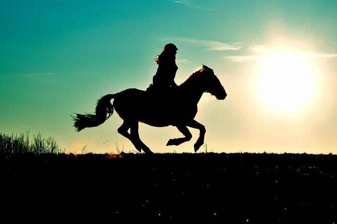 Horse Ride in Agadir & Options at Sunset & Barbecue with Couscous - The Sum Up
