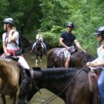 Horse Ride in Taghazout or Agadir - Analyzing the Price and Its Value