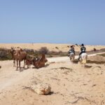 Horse Ride on the Beach in Essaouira - Why This Tour Works Well for Different Travelers