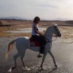 Horse Ride Trip , Bedouin Dinner And Show - Sharm El Sheikh - What’s Included and What to Consider