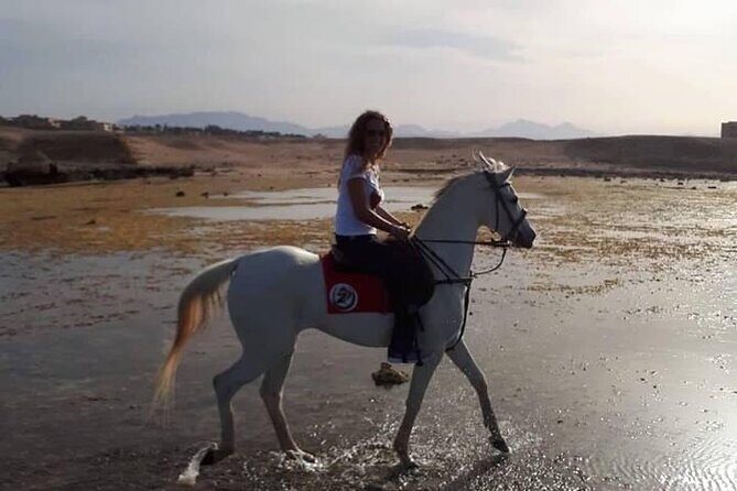 Horse Ride Trip , Bedouin Dinner And Show - Sharm El Sheikh - What’s Included and What to Consider