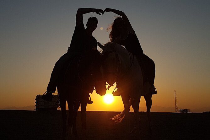 Horse Riding 1-Hour Adventure Trip With Transfer - Hurghada - Authentic Tips From Past Travelers