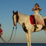 Horse Riding 2 Hours & Relaxation Turkish Bath & Sauna - Hurghada - Key Points
