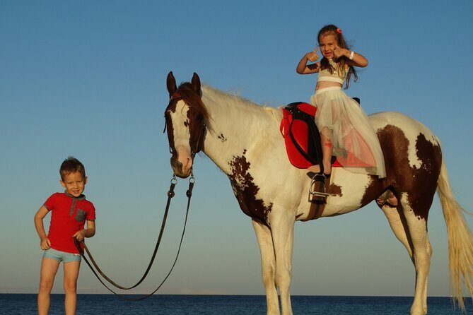 Horse Riding 2 Hours & Relaxation Turkish Bath & Sauna - Hurghada - Key Points
