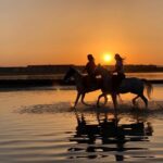 Horse Riding 3 Hours Beach, Desert, & Swimming By Horse in red sea - Hurghada - Why This Tour Could Be Perfect for You