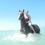 Horse Riding 3 Hours Desert Beach Swimming by horse in Hurghada - Practical Info and Tips