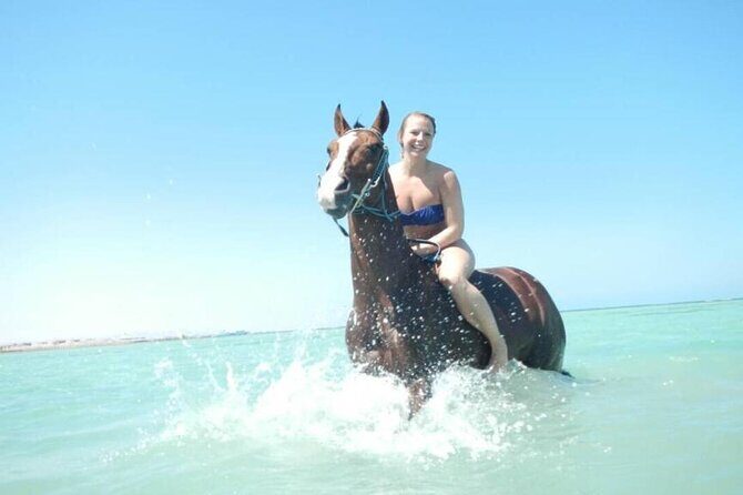 Horse Riding 3 Hours Desert Beach Swimming by horse in Hurghada - Practical Info and Tips