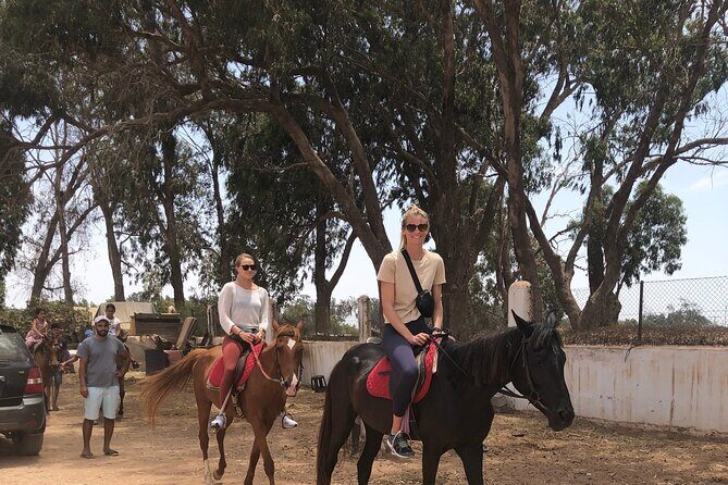 Horse Riding Agadir - The Value and Pricing