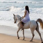 Horse riding by the beach Salalah - Who Will Love This Experience?