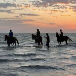 Horse Riding Experience in Riyadh | Tanomah | Jeddah | Al Ula - Authentic Experiences and Authenticity