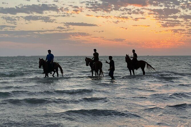 Horse Riding Experience in Riyadh | Tanomah | Jeddah | Al Ula - Authentic Experiences and Authenticity