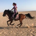 Horse Riding in Amazing Dessert With Transfer - Marsa Alam - What You Can Expect from the Tour