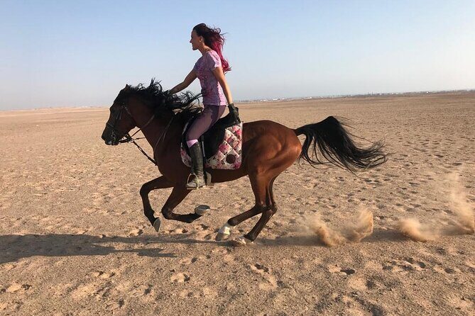 Horse Riding in Amazing Dessert With Transfer - Marsa Alam - What You Can Expect from the Tour