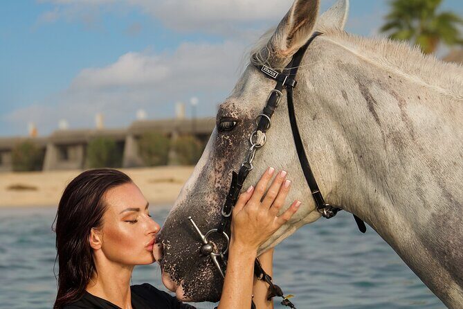 Horse Riding in Khobar - Final Thoughts