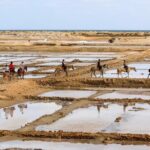 Horse Riding in Sal Island - Cabo Verde - Who Will Love This Tour?