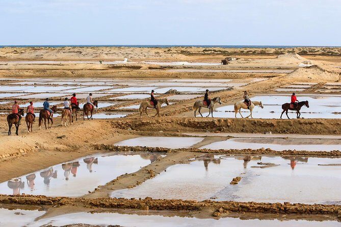 Horse Riding in Sal Island - Cabo Verde - Who Will Love This Tour?