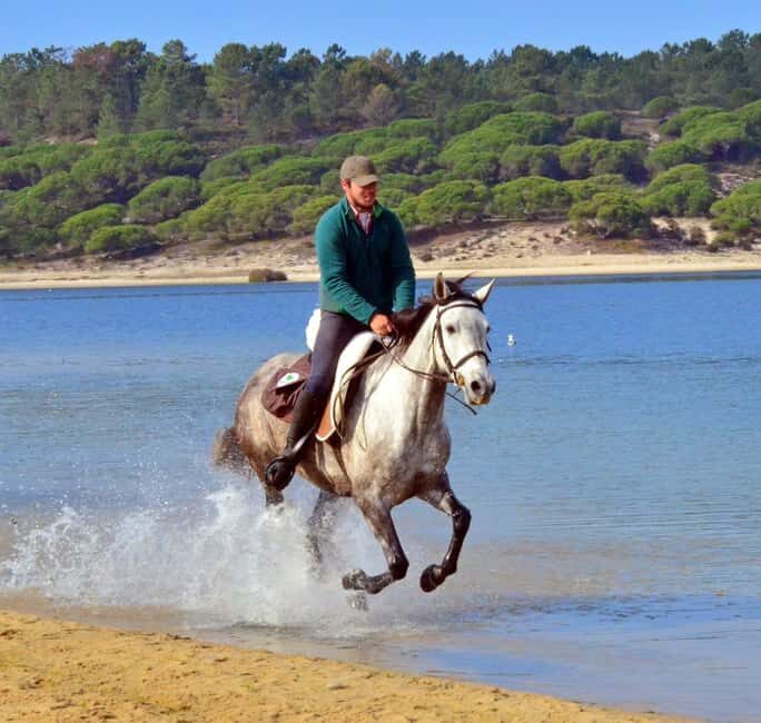 Horse riding in the Valley, near Lisbon, brunch and winnery - A Closer Look at the Experience
