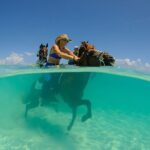 Horse Riding on Hurghada Desert and Beach - Who Will Love This Tour?