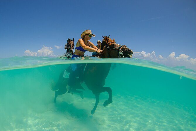 Horse Riding on Hurghada Desert and Beach - Who Will Love This Tour?