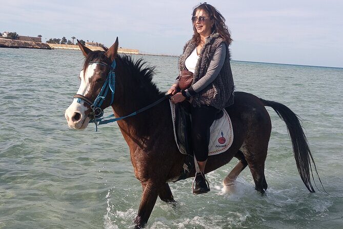 Horse Riding on the Beach And Desert 3 hours From Hurghada - The Value of the Experience