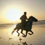 Horse riding on the beach of Essaouira 2 hours - Key Points