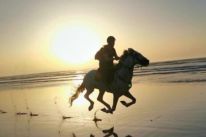 Horse riding on the beach of Essaouira 2 hours - Key Points