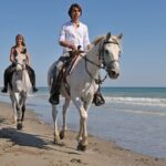 Horse Riding on the beach With Transfer From Sharm El Sheikh - What You Can Expect During the Ride