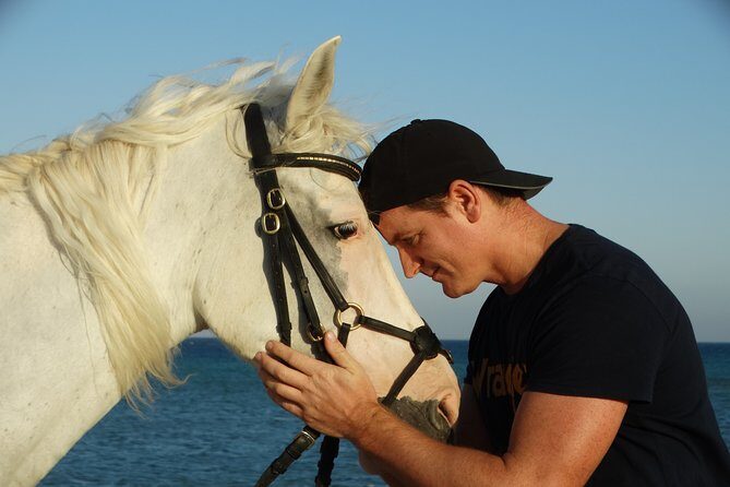 Horse Riding One hour At Amazing Desert With Transfer - Hurghada - The Riding Experience