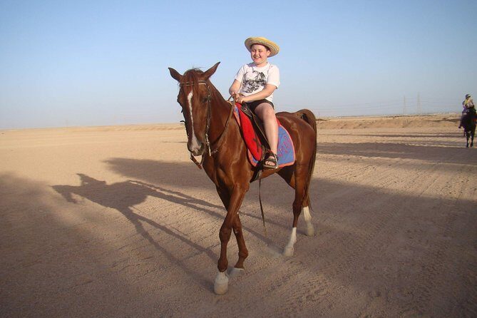 Horse Riding One Hour at Desert With Transfer - Sharm El Sheikh - What You Can Expect from the Tour