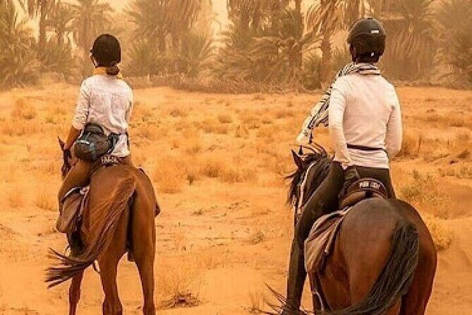 Horse Riding one hour Palmeraie Grove & Transfer - Marrakesh - Authenticity and Value for Money