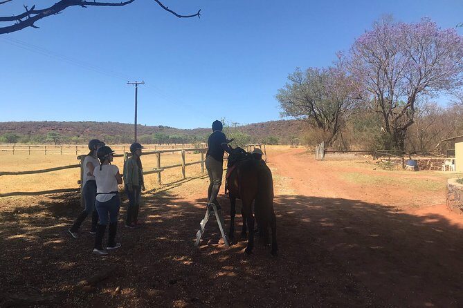 Horse riding safari from Johannesburg - An In-Depth Look at the Horse Riding Safari Experience