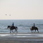 Horse Riding Tour 2 Hours Sea And Desert with Transfer - Hurghada - The Value and Overall Experience