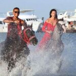Horse Riding Tour Two Hours Sun & Sea With Transfer - Hurghada - Value for Money and Overall Experience