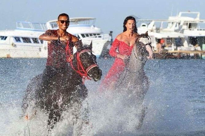 Horse Riding Tour Two Hours Sun & Sea With Transfer - Hurghada - Value for Money and Overall Experience