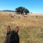 Horse Riding Wildlife Safari - The Guides and Their Insights