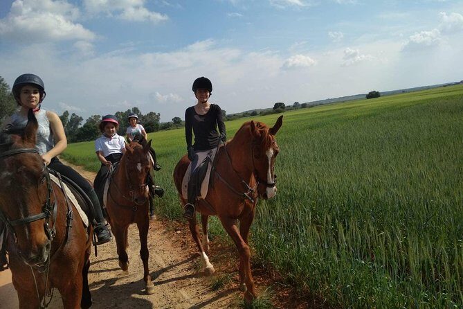 Horseback riding around Doñana - What Makes This Tour Special?