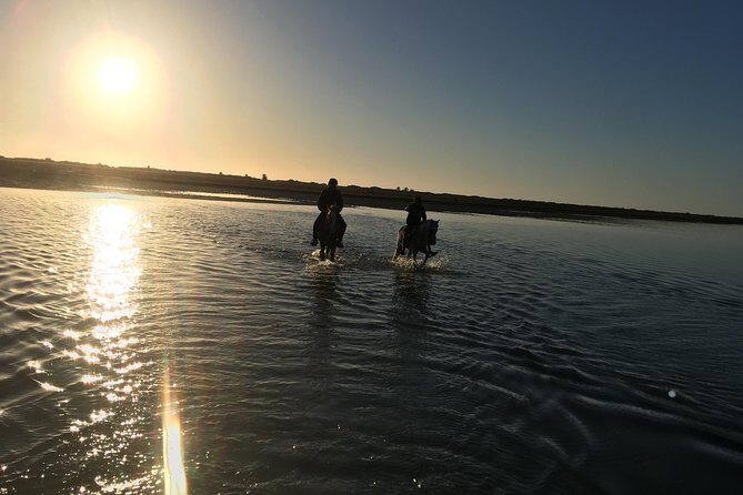 Horseback riding at sunrise 3h - Who Will Love This Tour?