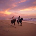 Horseback Riding in Djerba Lagoon - FAQ
