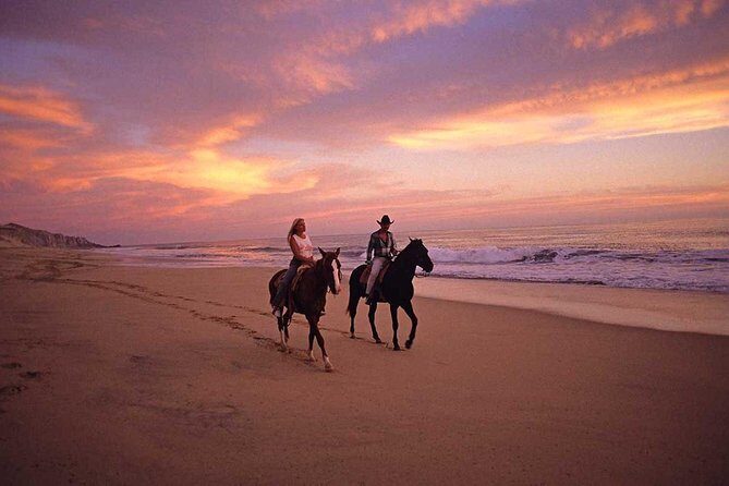 Horseback Riding in Djerba Lagoon - FAQ