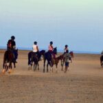 Horseback riding in Marsa Alam and Port Ghalib - Final Thoughts on Value and Experience