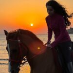 Horseback Riding Muscat Beach - Authentic Experiences and Review Highlights