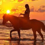 Horseback riding or camel at sunset in Djerba - Final Thoughts