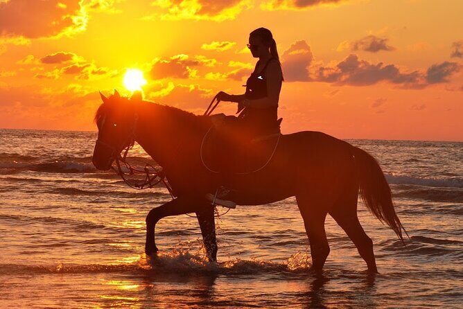 Horseback riding or camel at sunset in Djerba - Final Thoughts