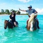 Horseback Riding with Pickup and Drop-off from Sharm El Sheikh - Who Is This Tour Best For?